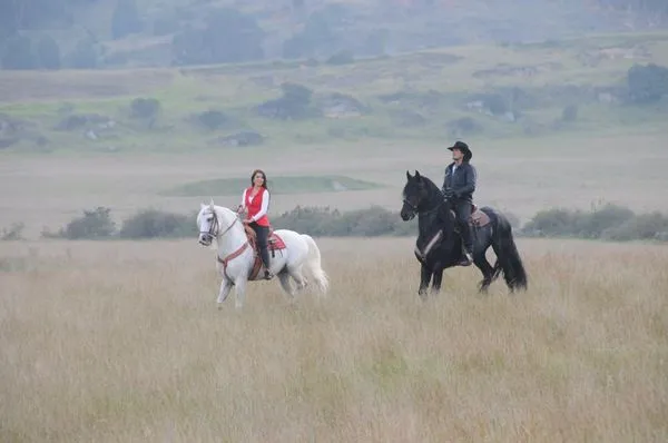 Caballos en paisajes hermosos - Imagui