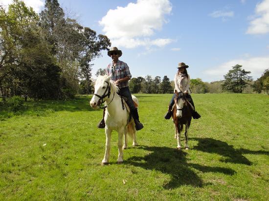 Caballos A La Par - Buenos Aires - Reviews of Caballos A La Par ...