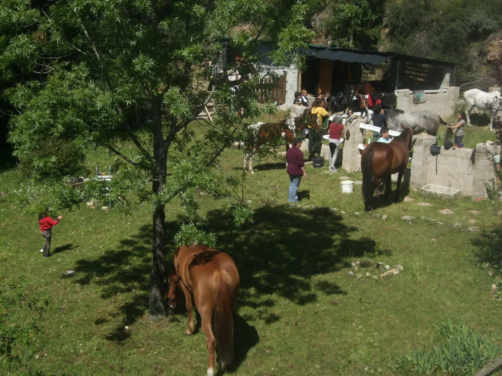 Los caballos del valle: mayo 2011