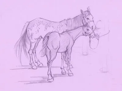 caballos en violeta