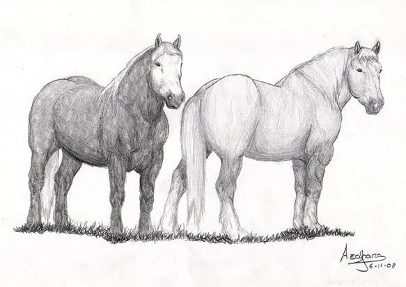 CaballoSara Club Hípico Titú: Dibujos de caballos
