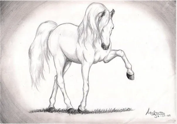 CaballoSara Club Hípico Titú: Dibujos de caballos