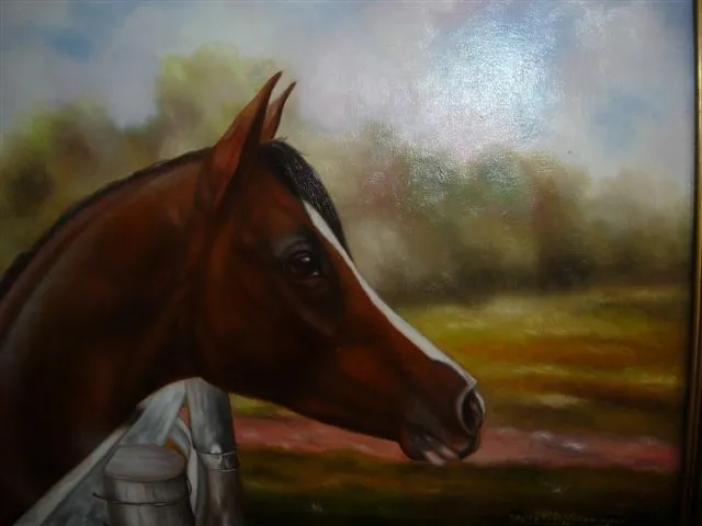 Cabeza de caballo árabe - Comprar Arte. Venta de Arte. Galería de ...