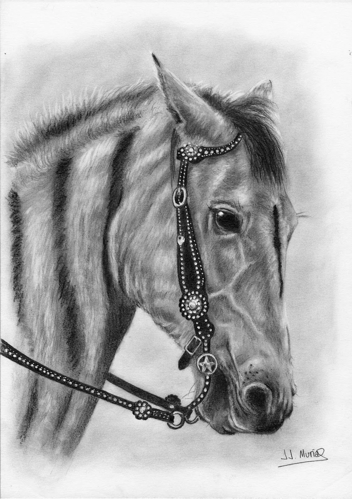 Cabeza de caballo, dibujo realizado a lápiz de grafito. ~ muestroArte