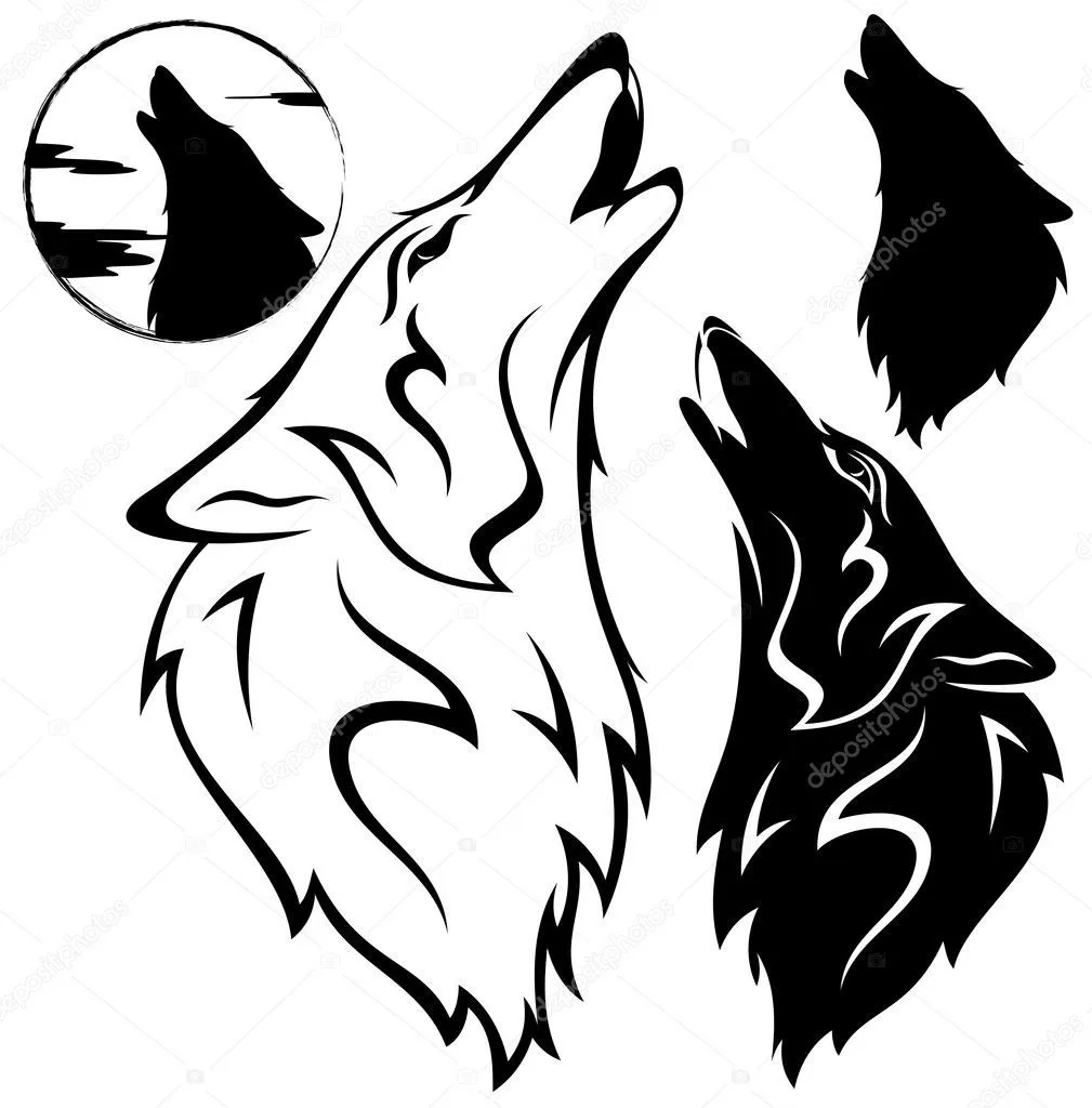 cabeza de lobo — Vector stock © Cattallina #