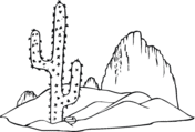 Cactus coloring pictures | Super Coloring