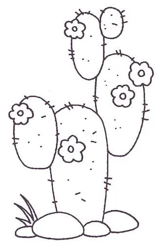 cactus.jpg?imgmax=640