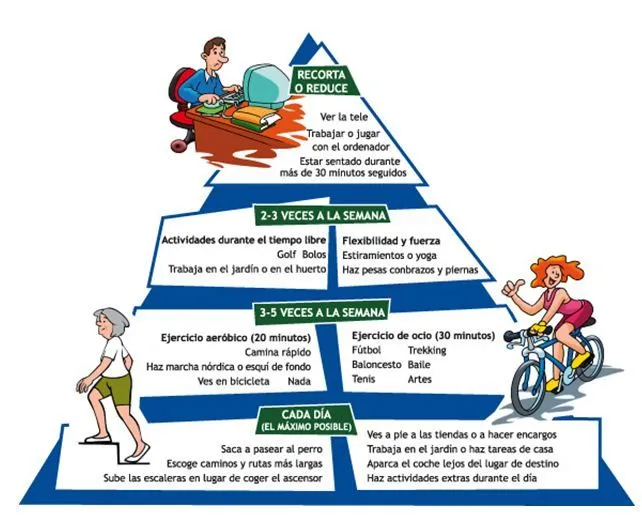 C.A.D.A.S.I.L. y obesidad. Propuestas para una mejora de la ...