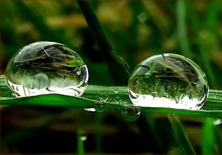 Cadegra la Dama de las Letras: Dos gotas