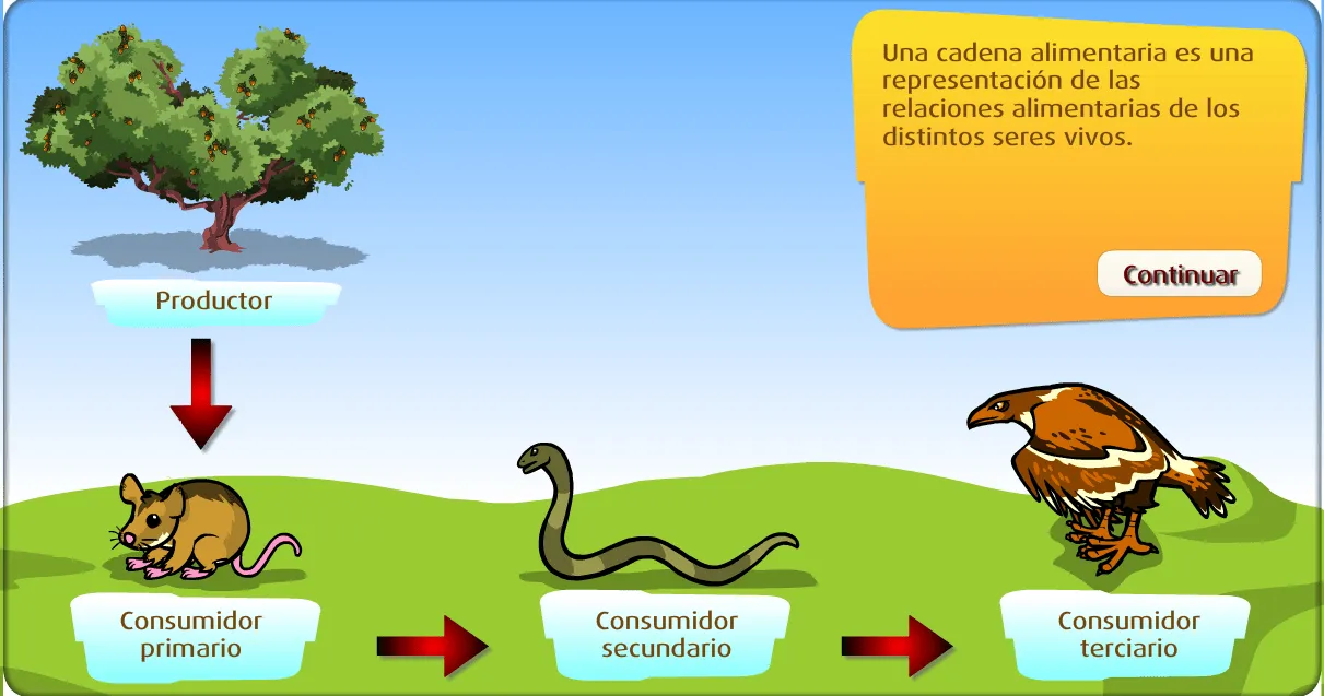 Las Cadenas Alimenticias | ciudadelista en primaria