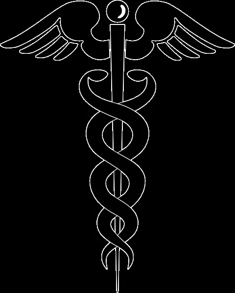 Caduceus clip art - vector clip art online, royalty free & public ...