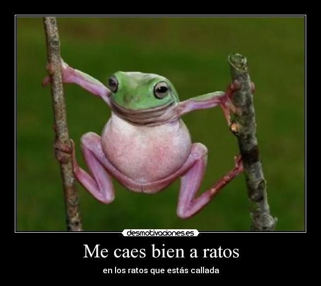 Me caes bien a ratos | Desmotivaciones