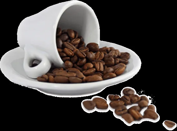 CAFE CON GANODERMA PRODUCTOS DE LIMPIEZA BIODEGRADABLES