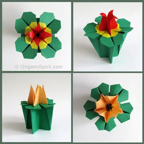 Cómo una caja en origami se convirtió en… ¡un festival de flores!