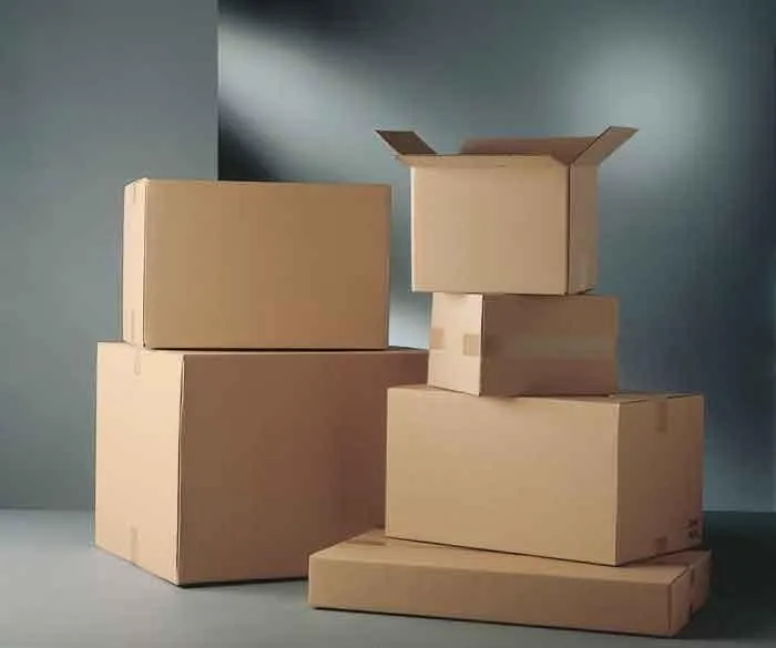 CAJAS DE CARTON "