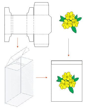 Cajas de plastico - Cajas transparentes