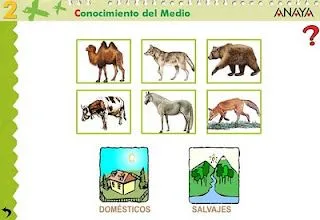 La cajita de 1º y 2º y ahora también de 4º: Conocimiento