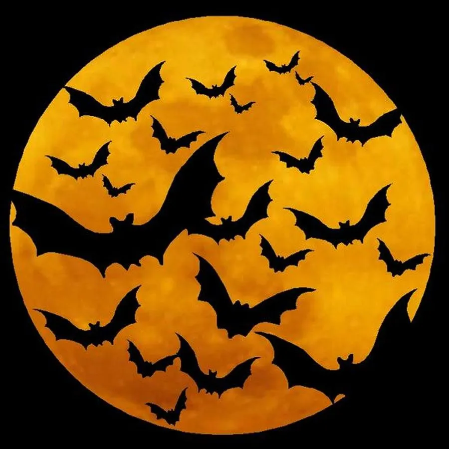  ... DE CALABAZAS,MURCIELAGOS,BRUJAS Y MUCHAS COSAS MAS!FELIZ HALLOWEEN