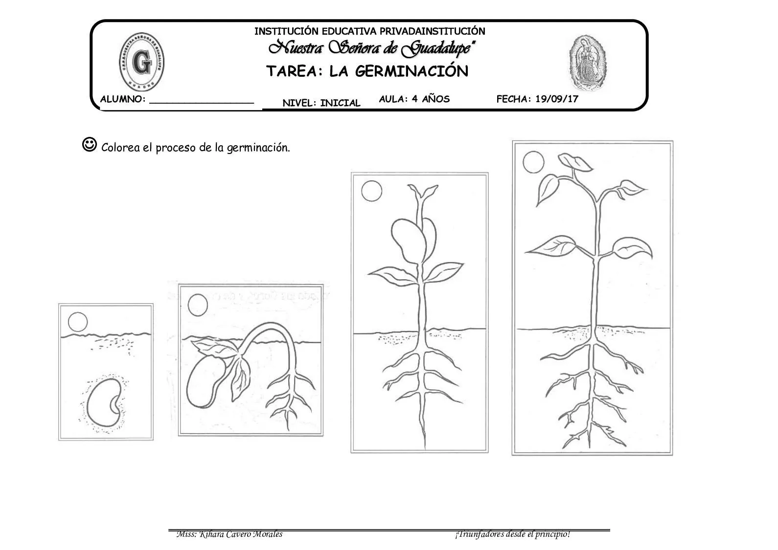 Calaméo - Germinacion 2