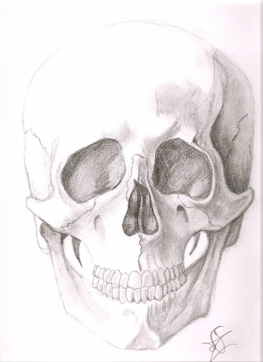 Dibujos de calaveras a lápiz - Imagui