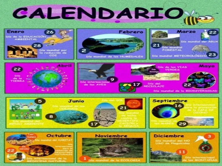 Calendario ambiental venezuela - Imagui