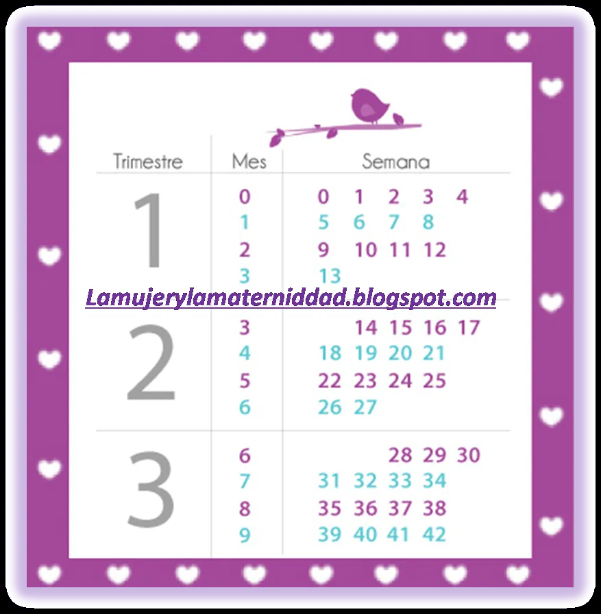 Calendario del embarazo | La mujer y la maternidad