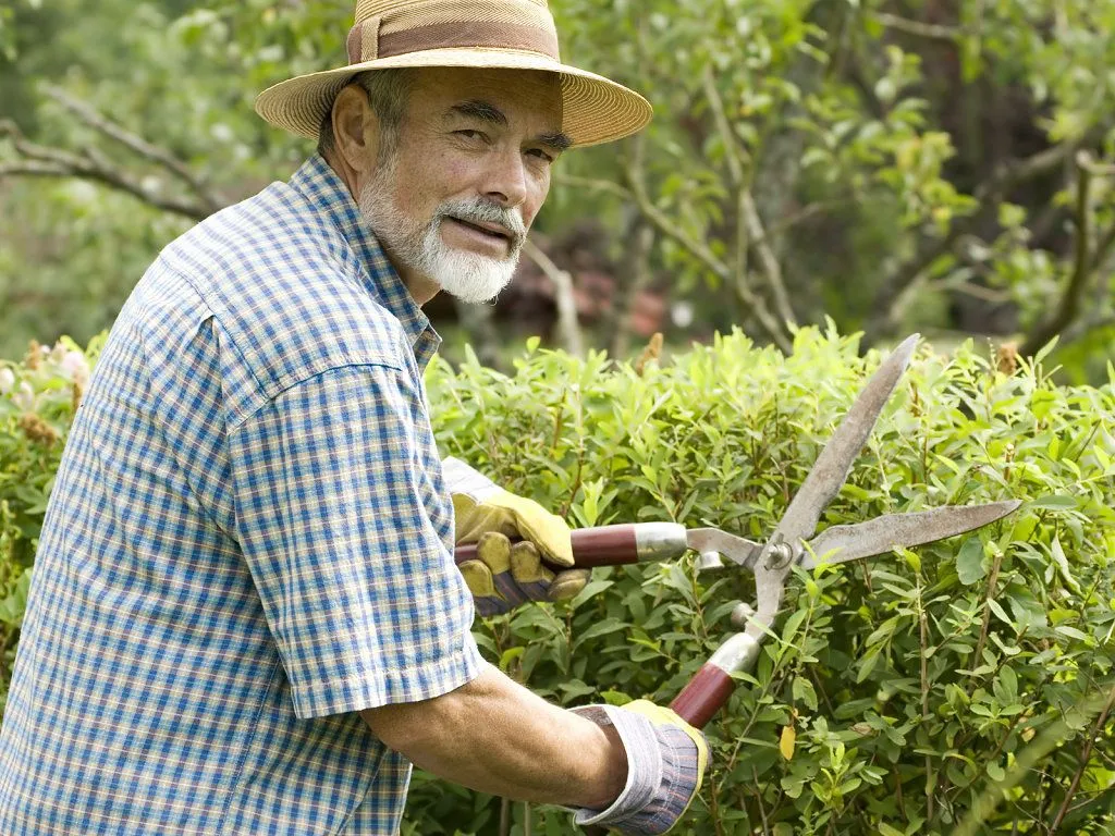 calendario jardinero mensual | Cuidar de tus plantas es facilisimo.