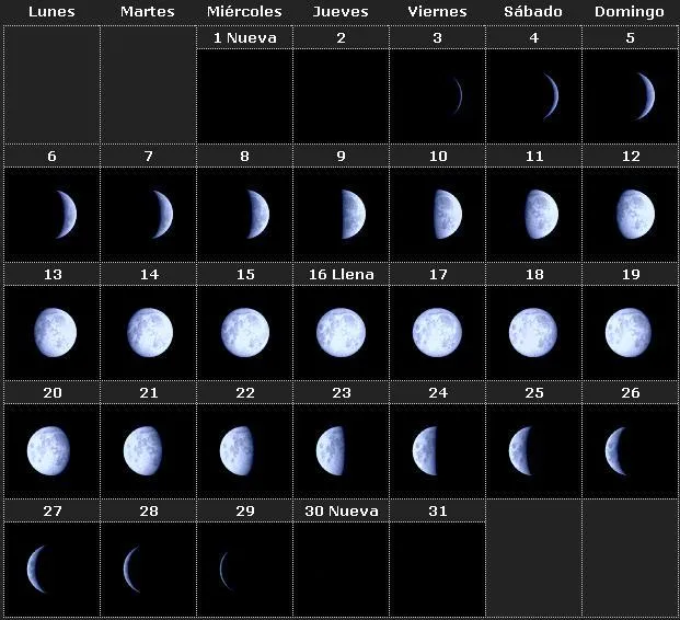 Calendario Lunar 2014 Enero | Tarot y Esoterismo