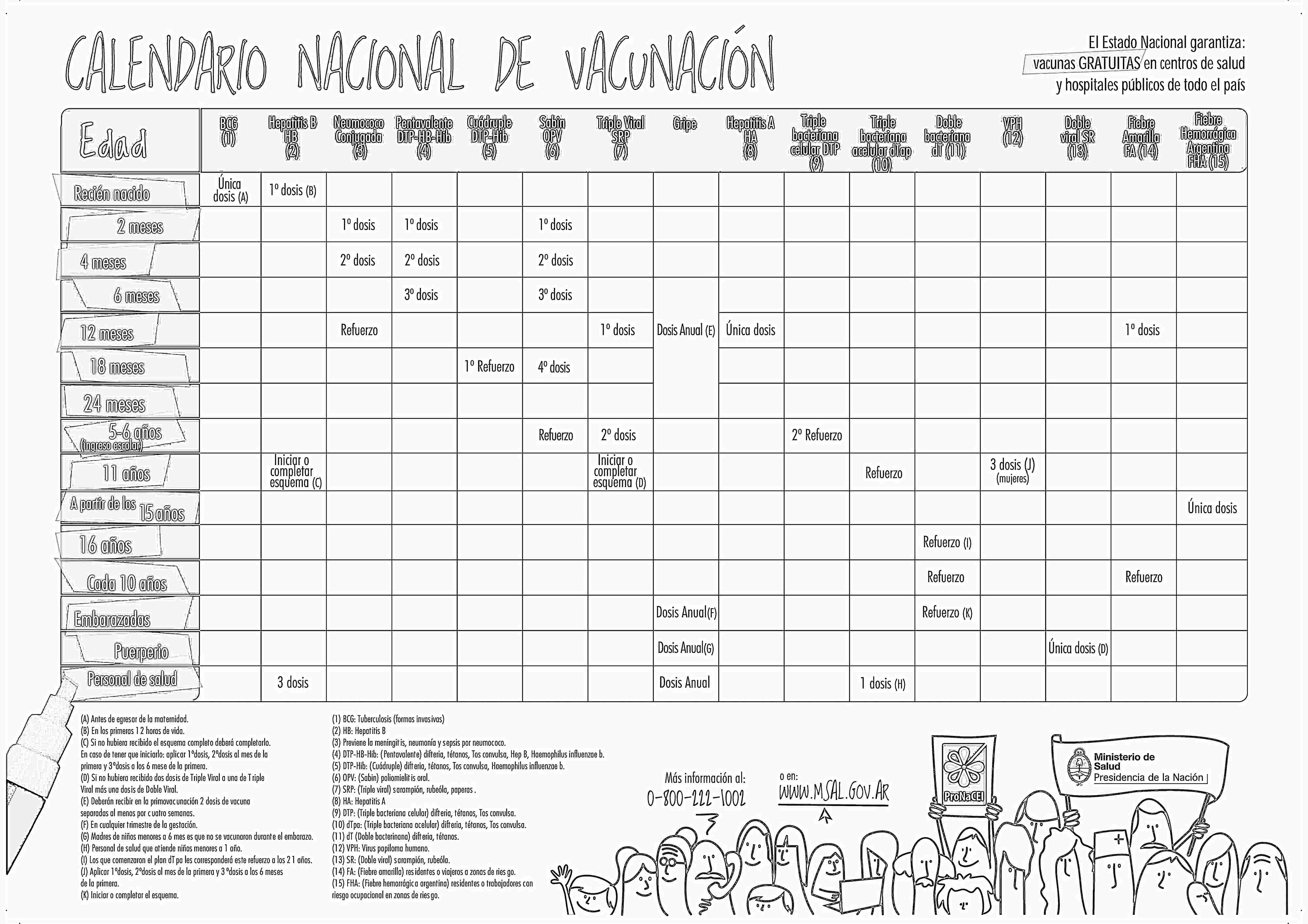 CALENDARIO NACIONAL DE VACUNACIÓN DE ARGENTINA Y MAPA MURAL 2X2 ...