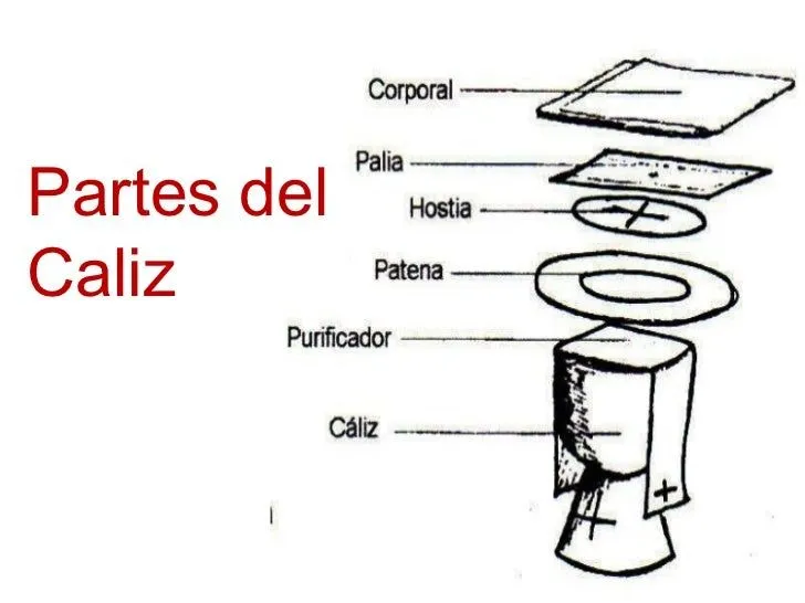 Calis y ostia - Imagui