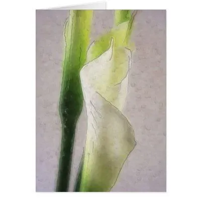 Calla Lily 1 Watercolor Greeting Cards from Zazzle.