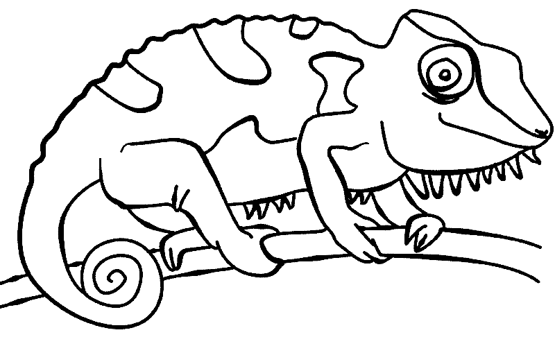 Dibujo de camaleones para colorear - Imagui