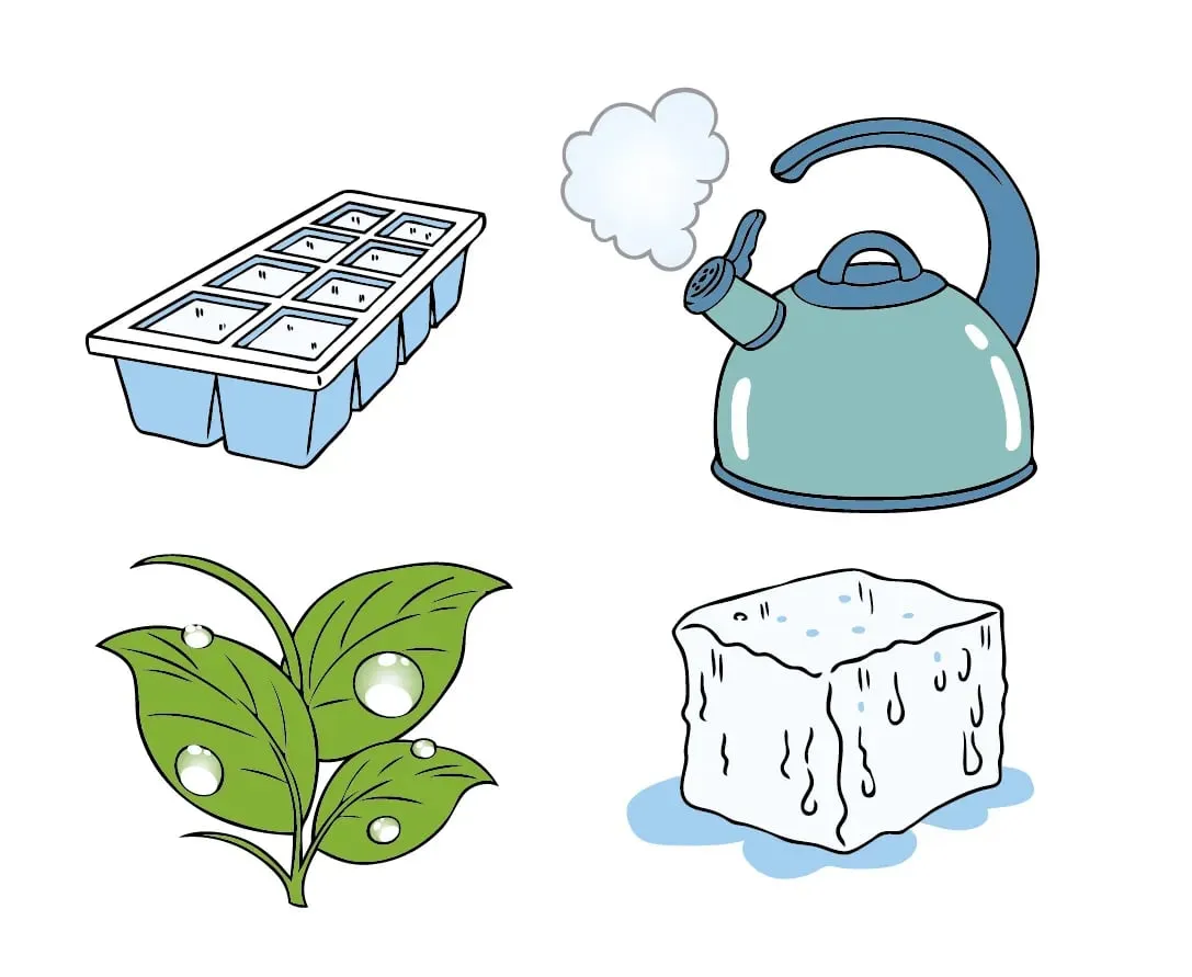 Cambios de estado físicos de la materia. Definición y ejemplos - Escolar - ABC Color