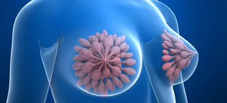 Cambios en el pecho durante el primer trimestre de embarazo