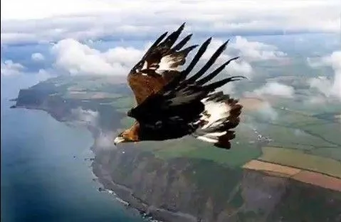 Ella Que Camina | Poner los ojos en el camino