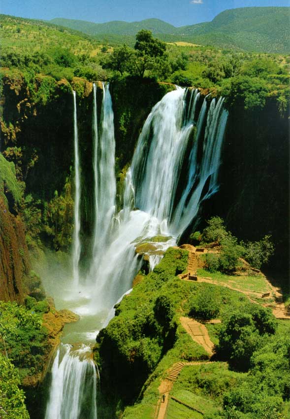 CAMINANDO CON LA VIDA: abril 2011