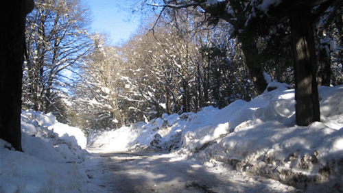 camino invierno copy Llego el invierno