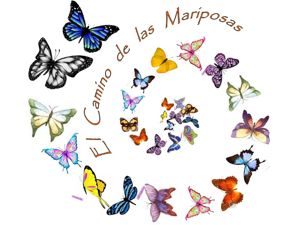 El Camino de las Mariposas: El Camino de las Mariposas - a partir ...