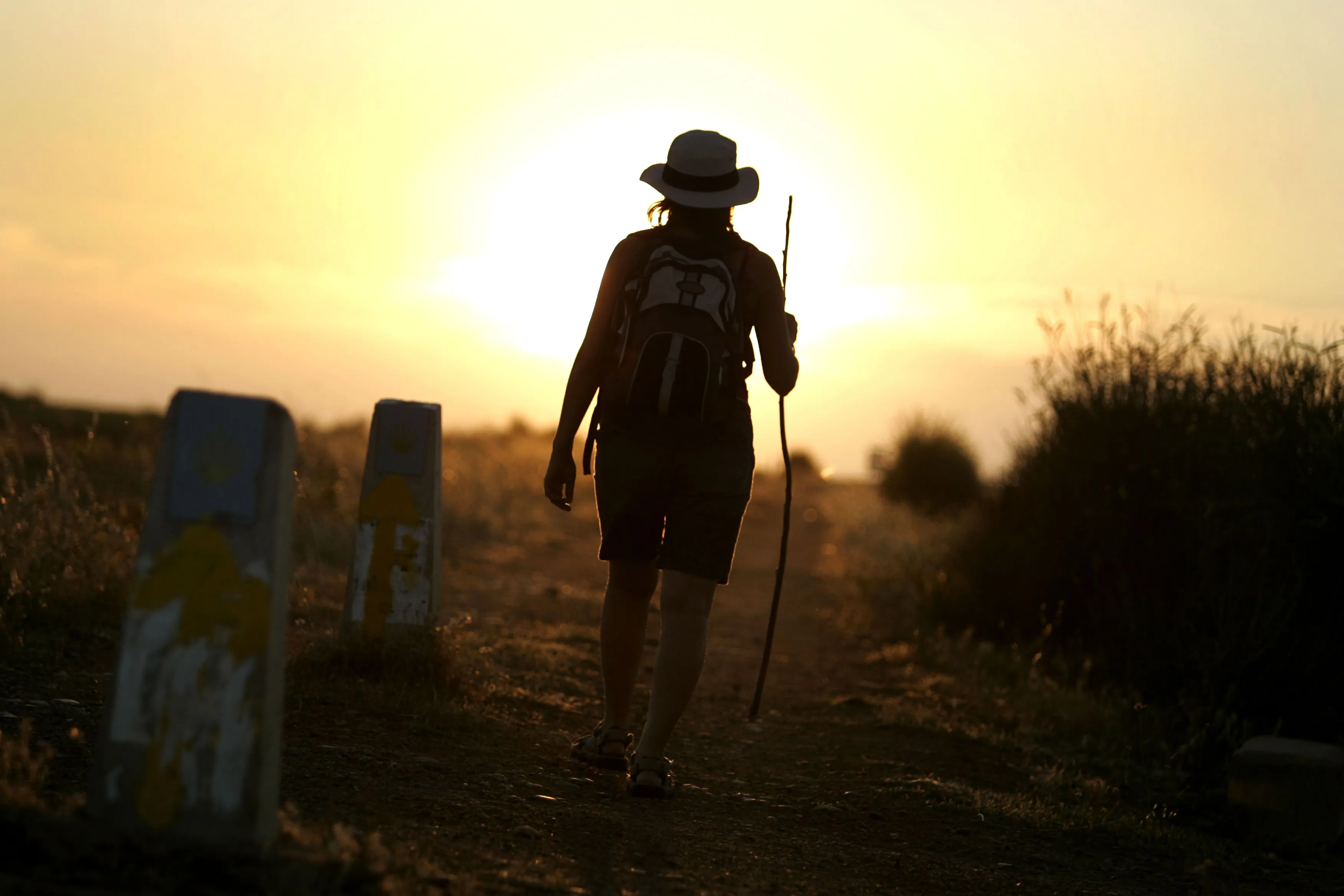 El Camino de Santiago, la Vía Francígena y la Ruta de San Olaf se ...