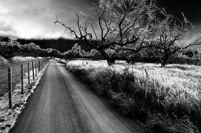 camino-tenebroso | Flickr - Photo Sharing!