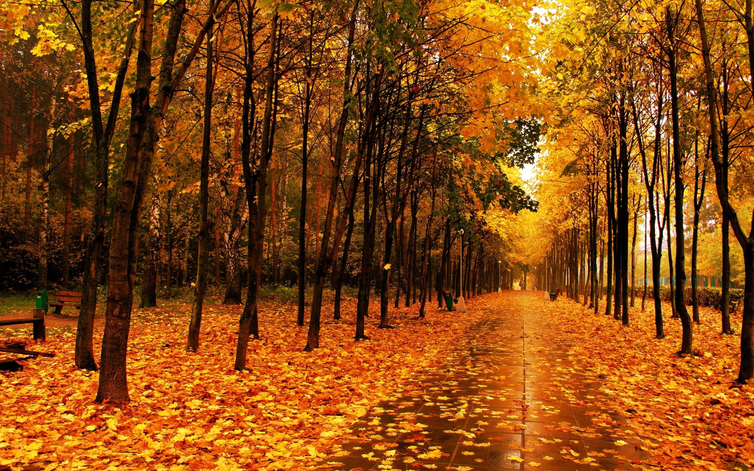 CAMINOS, VIDA Y PAISAJES: HERMOSAS FOTOGRAFÍAS + PALABRAS ...