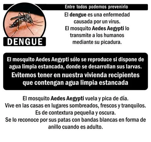 Campaña Prevención de Dengue - Municipalidad de la ciudad de San ...