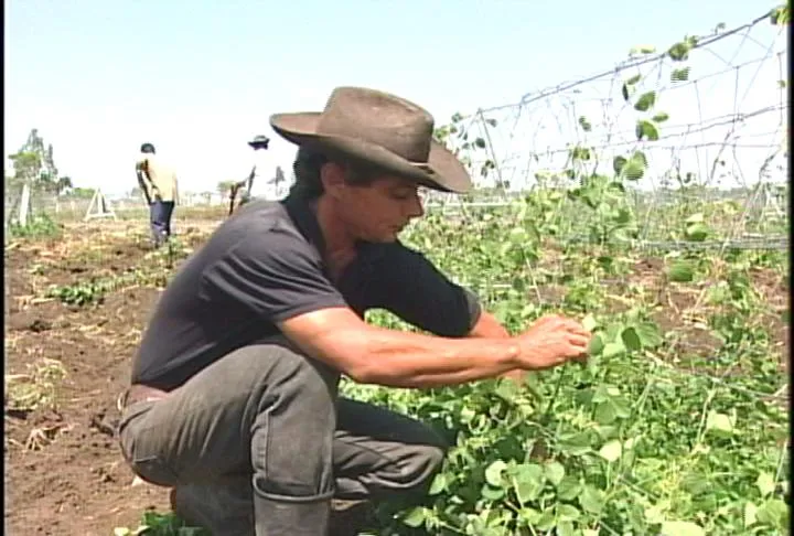 Dia del Campesino Peruano | comunicaciondignidadperu