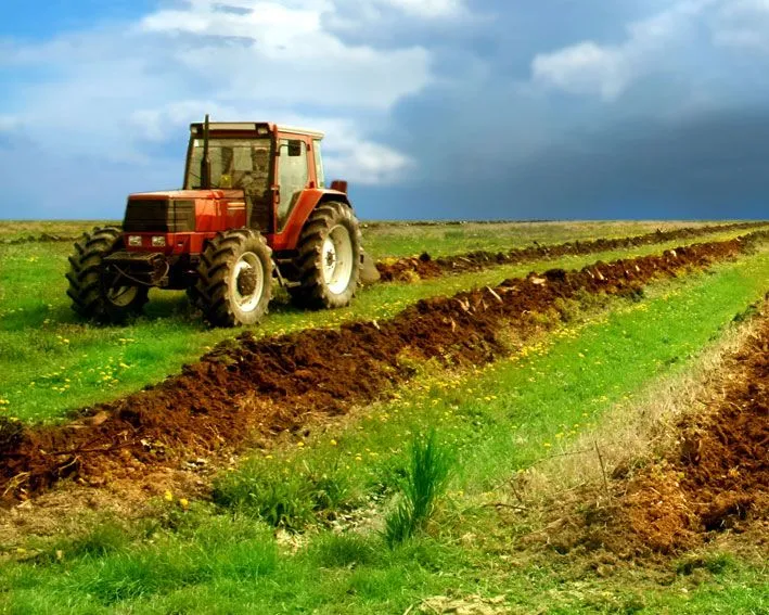 El campo argentino y el sistema agroexportador - Taringa!