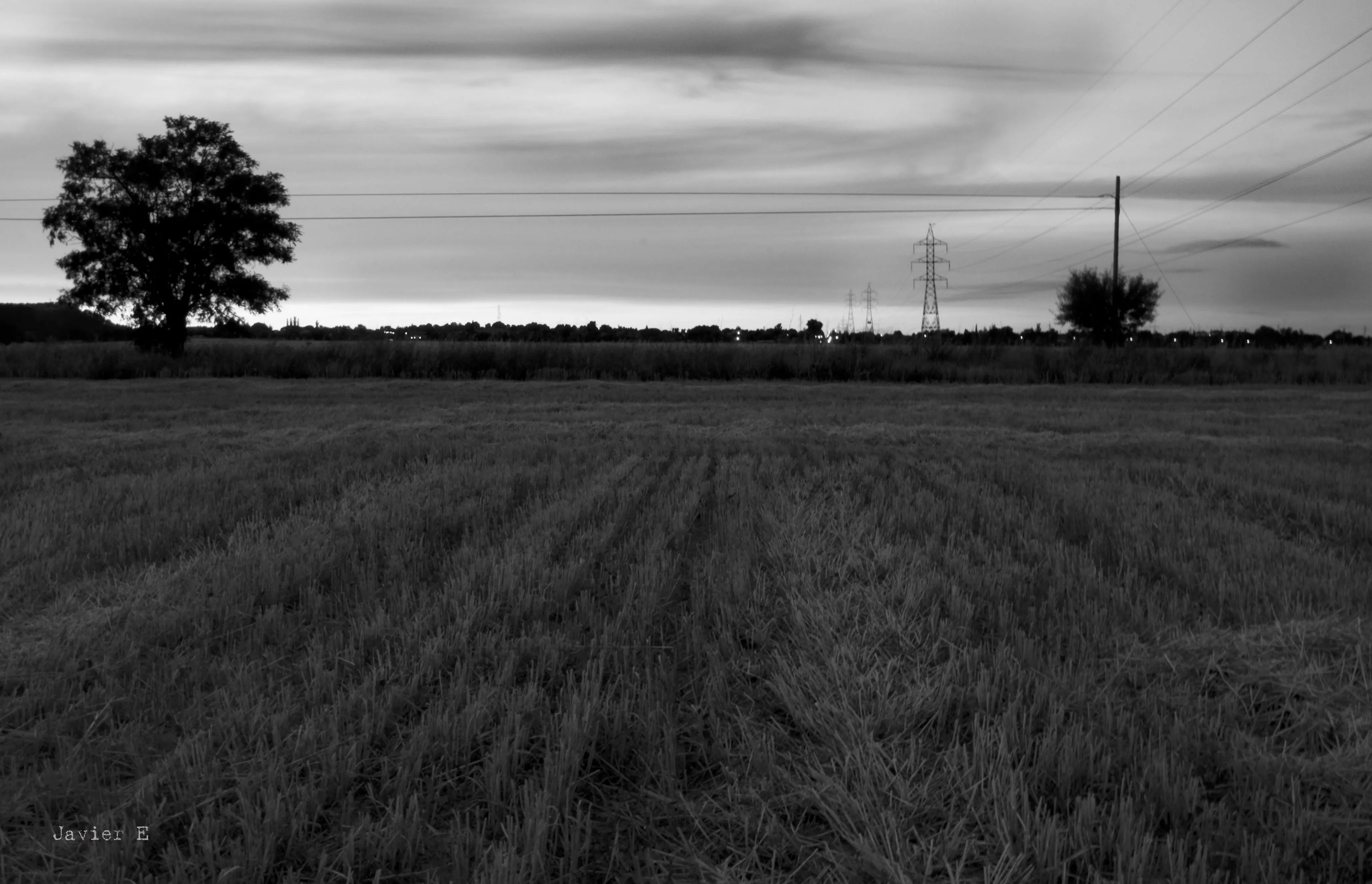 campo blanco y negro | Flickr - Photo Sharing!