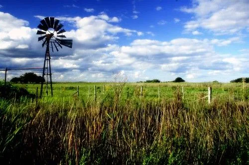 Campo y Ciudad en Argentina dos mundos | Aula365