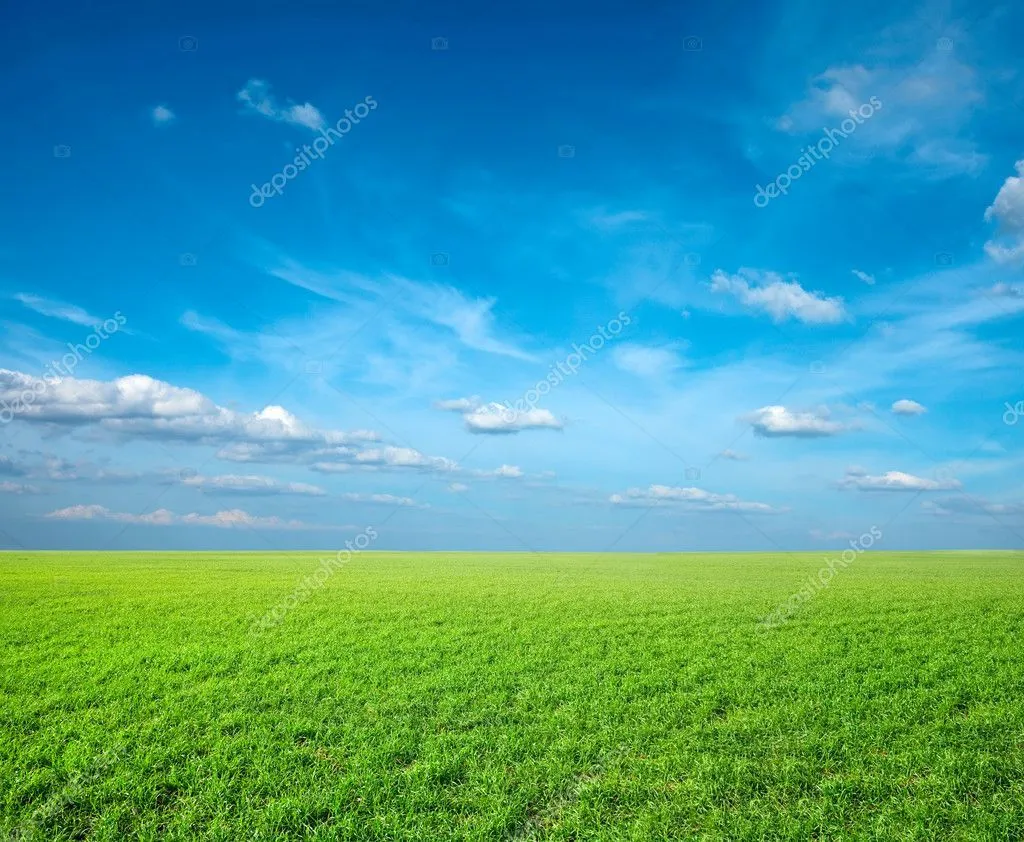 campo de pasto verde fresco — Foto stock © DmitryRukhlenko #