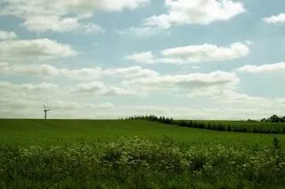 campo verde, naturaleza, nubes | Descargar Fotos gratis