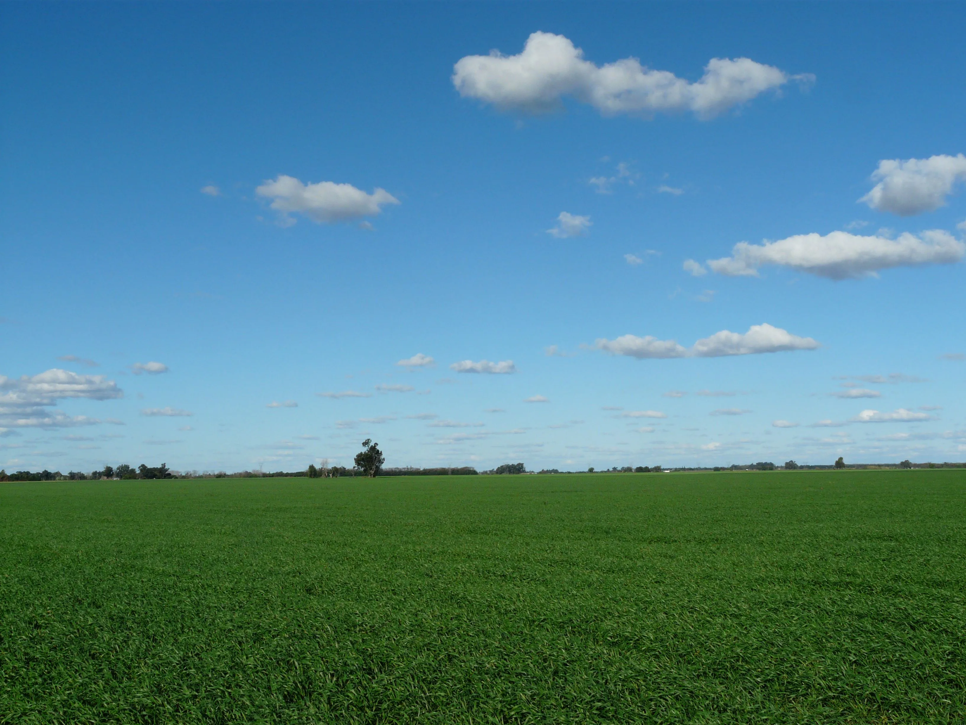 Campos verdes de cielo celeste y blanco | Flickr - Photo Sharing!