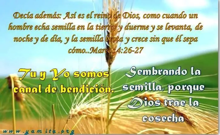  ... canal de bendición - Facebook : Imagenes Cristianas para Facebook